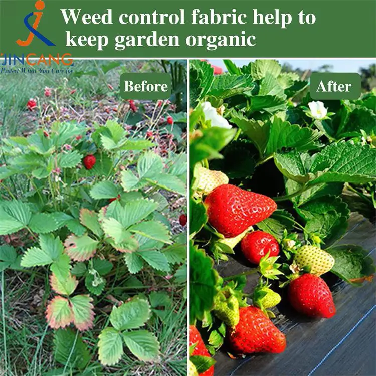 Ugras kontroll stoffmatte