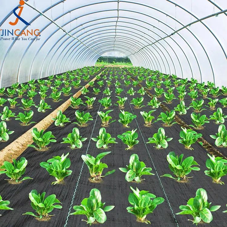 Ugras kontroll stoffmatte